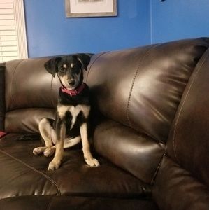 Meet your Posher, Jamie